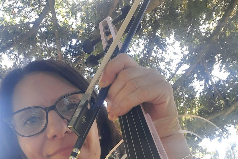 Violino solo