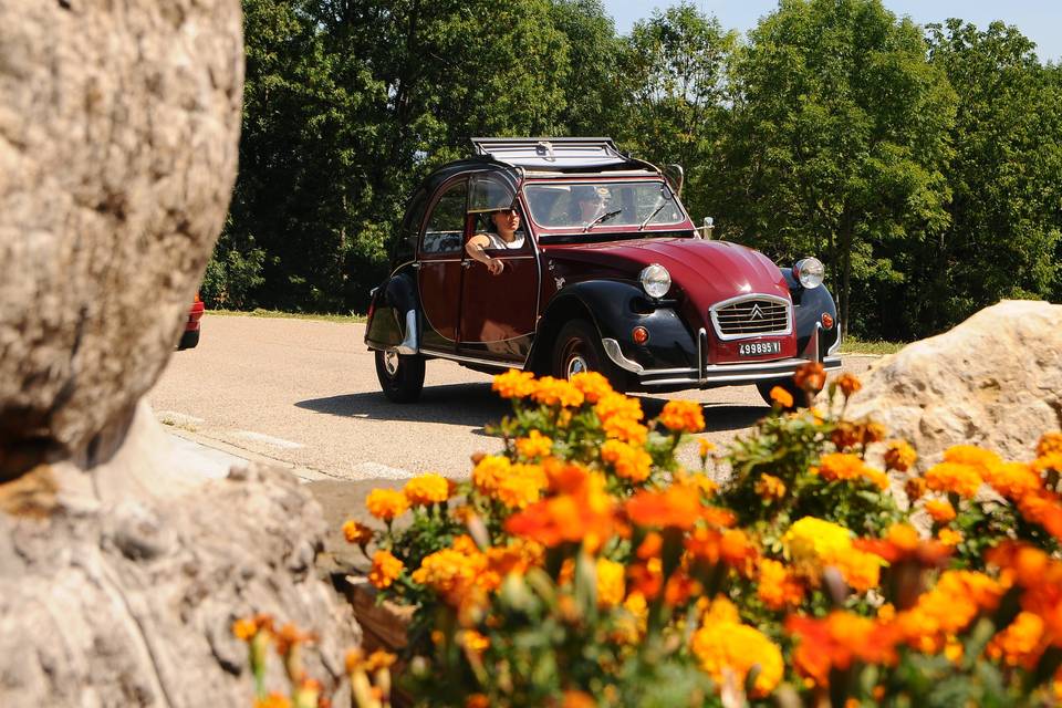 Citroen 2 CV 6 charleston