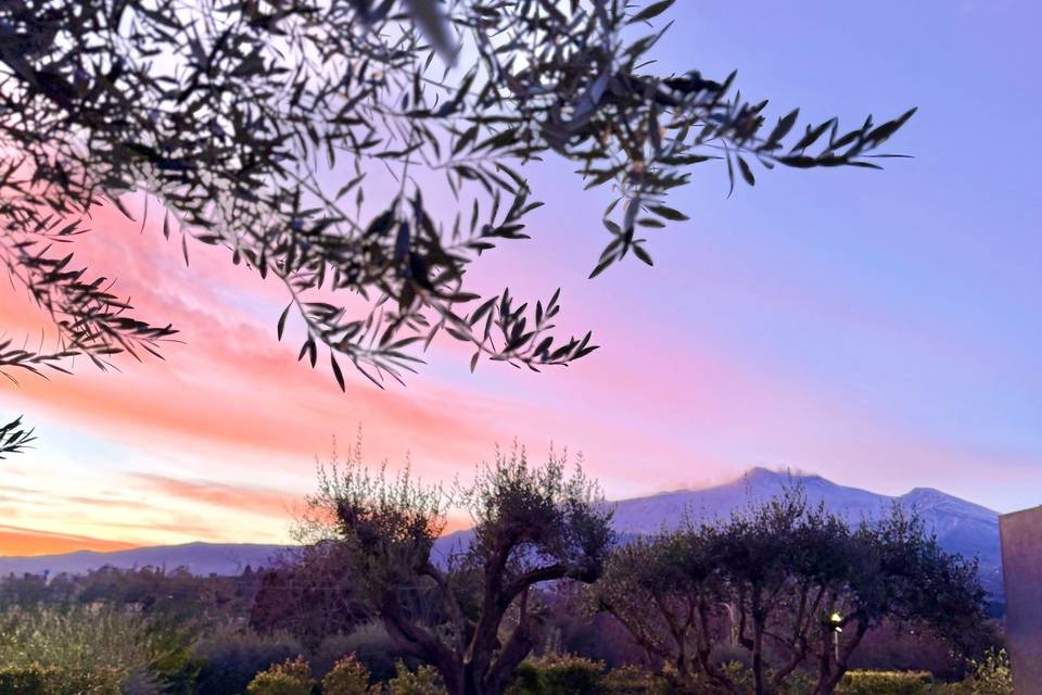 Il giardino vista Etna