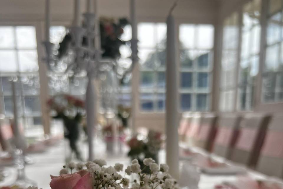 Eleganza