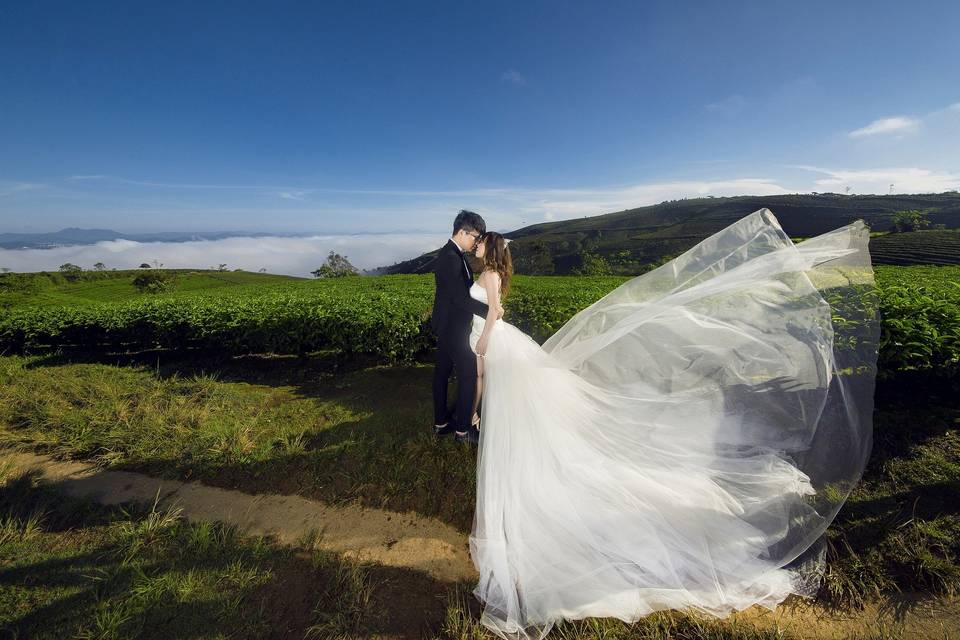 Esempio stile matrimonio