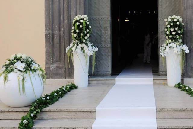 Il Paradiso Fiori e Piante