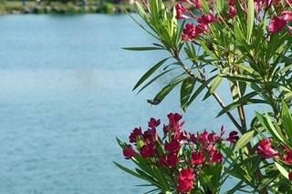 Ristorante Lago Azzurro