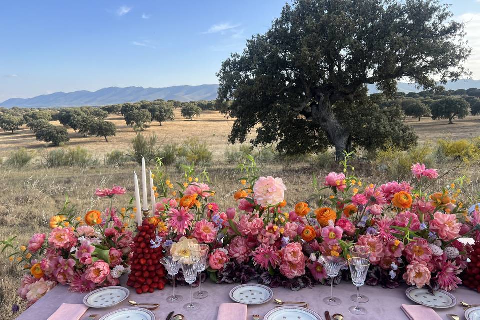 Matrimonio in campagna