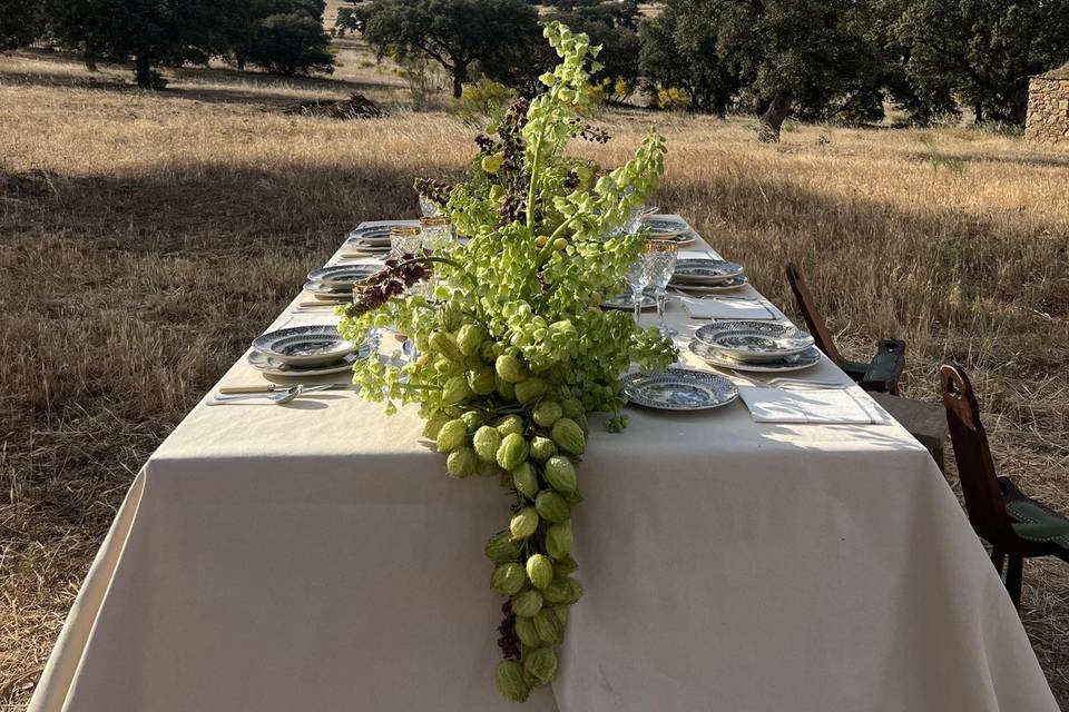 Matrimonio in campagna