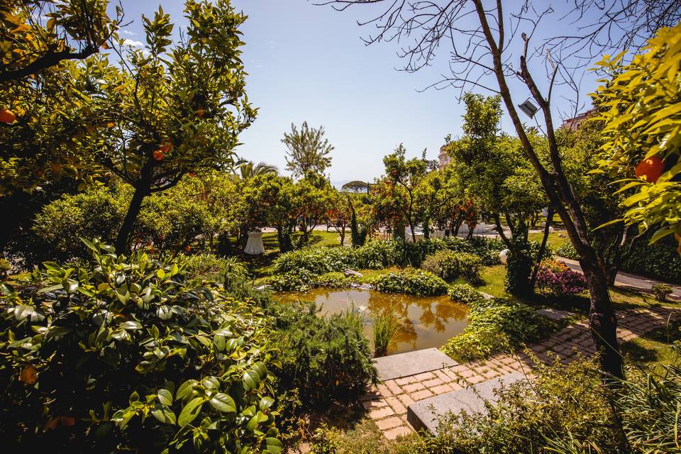 La Terra degli Aranci