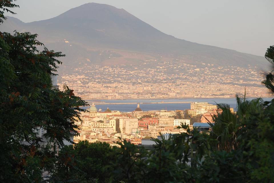 La Terra degli Aranci