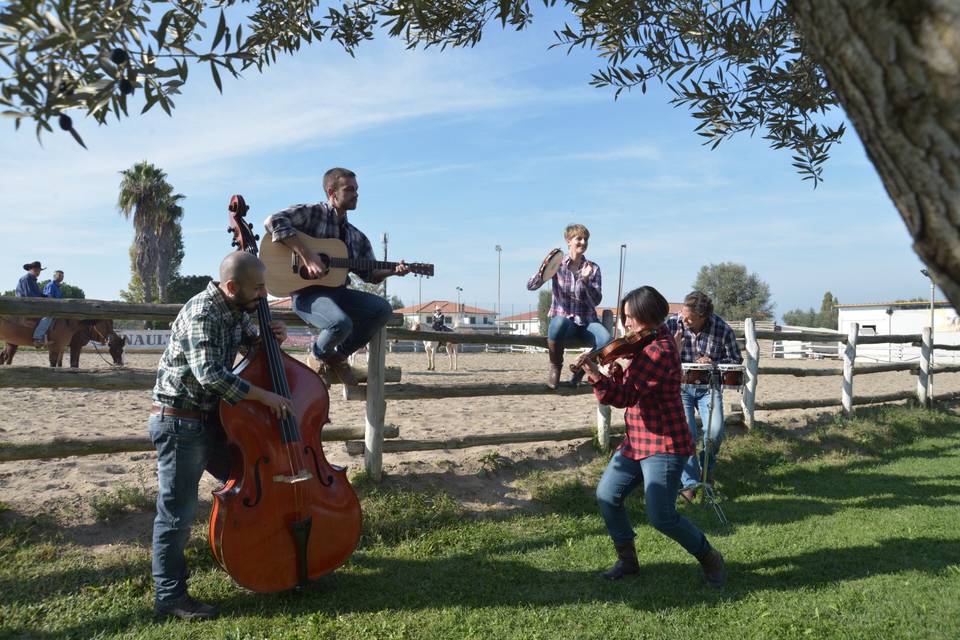 Country Wedding