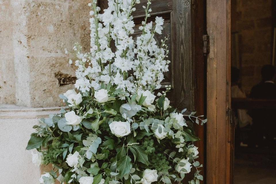 Delphinium