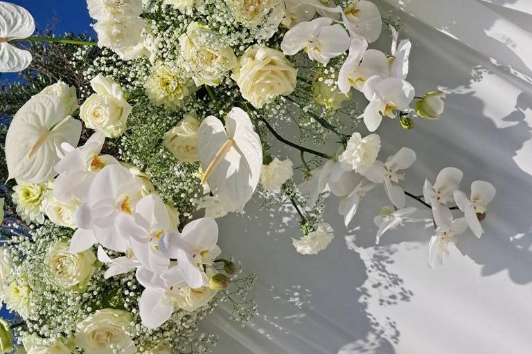Anthos Fiori