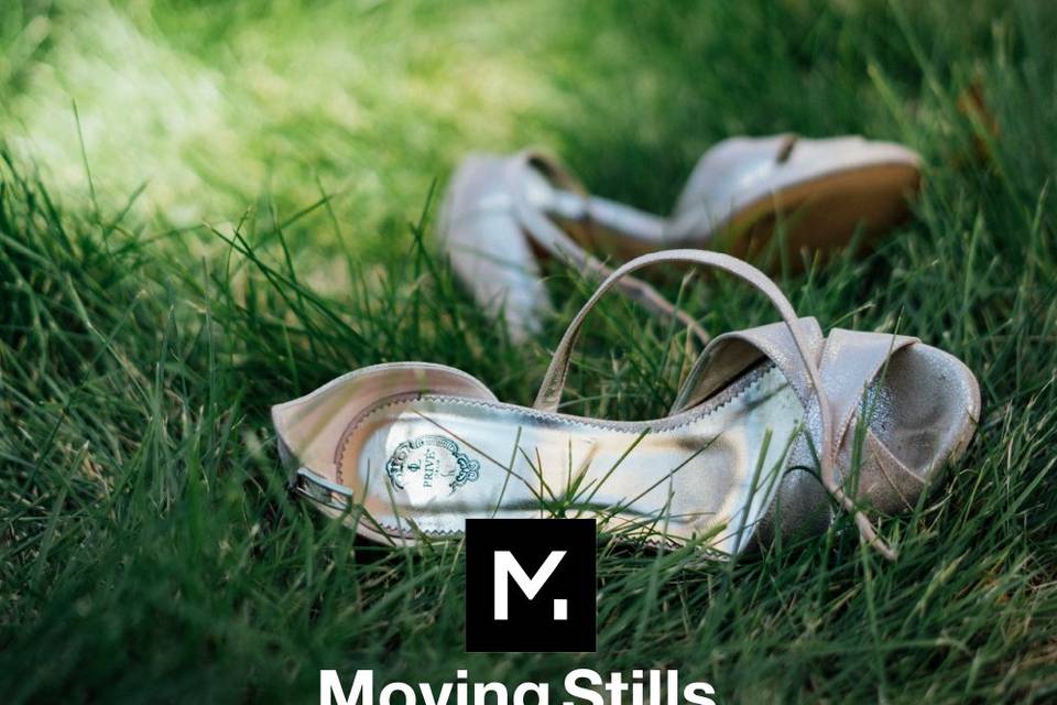 Moving Stills