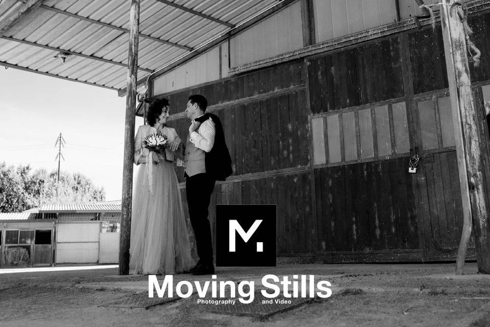 Moving Stills