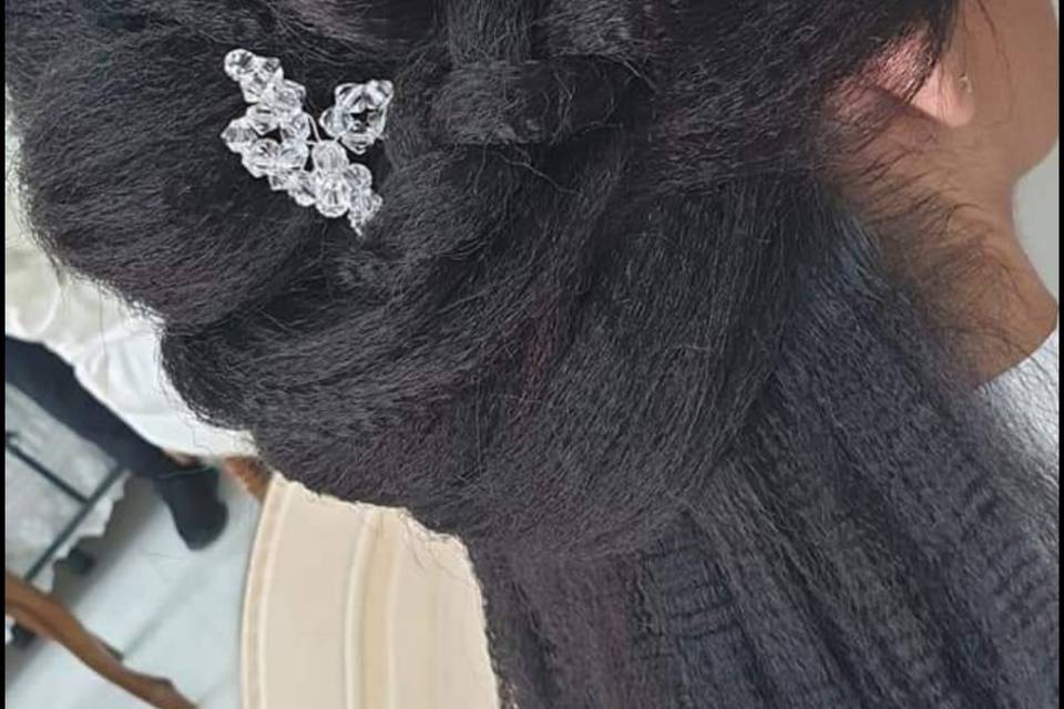 Diamoci delle Arie