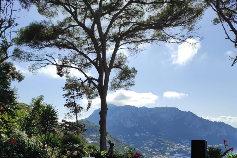Cerimonia Civile - Capri