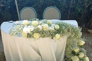 I Fiori di Alberto di Veronica Bartolozzi