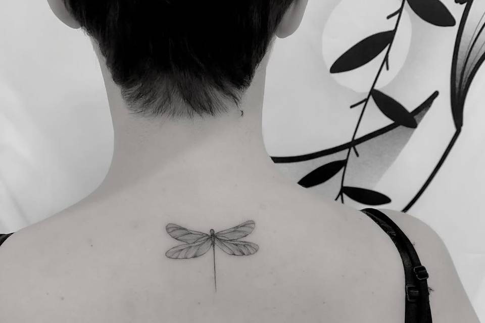 Libellula