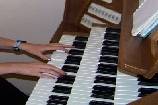 Organo