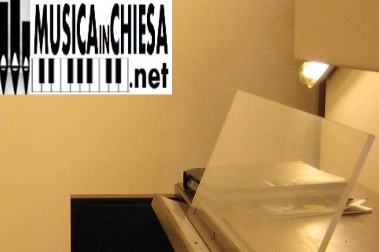 Organisti professionisti