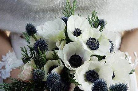 Bouquet anemoni