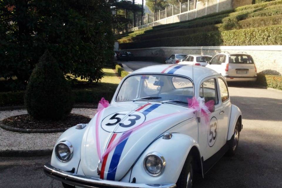 Maggiolino herbie 53