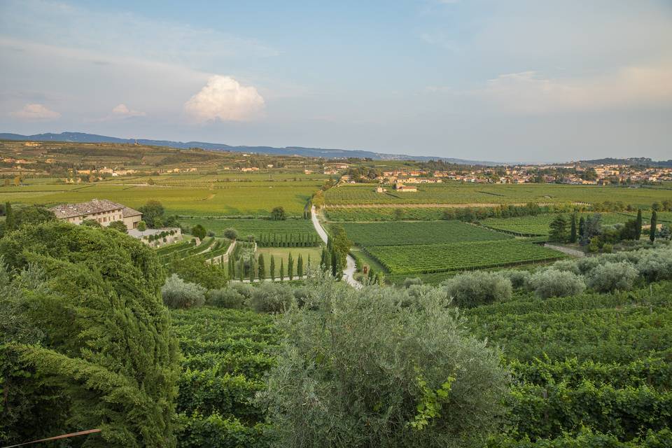 Vista della valle