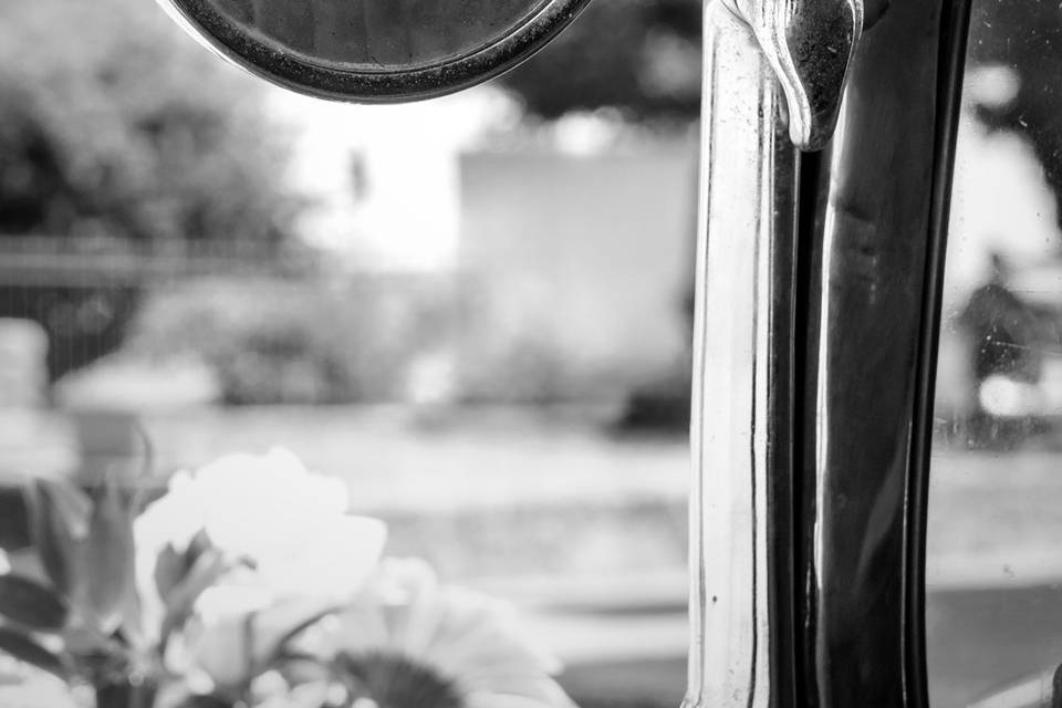 Elliot Erwitt style