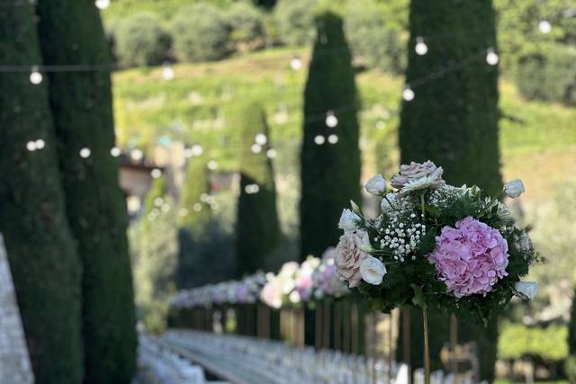 Viale alberato