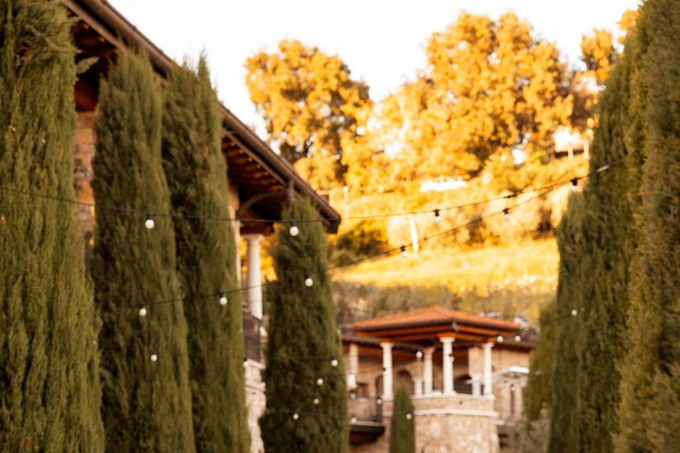 Viale alberato