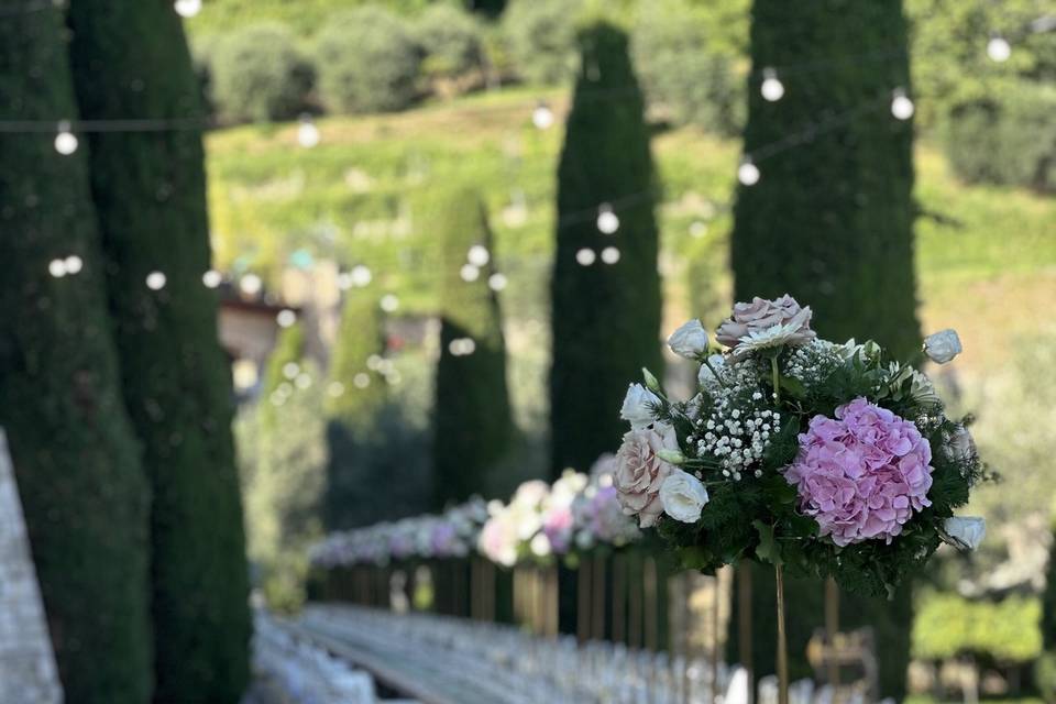 Viale alberato