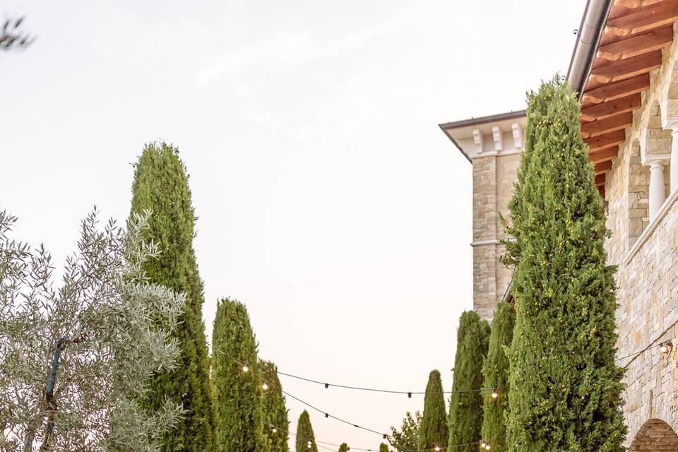 Viale alberato