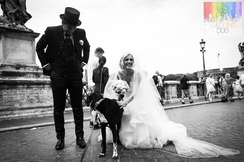 Just Married Wedding Dog