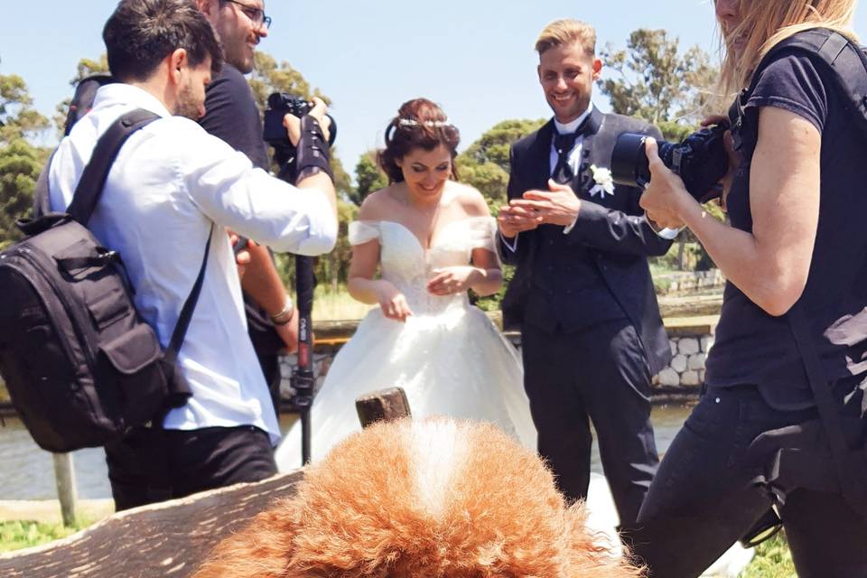 Just Married Wedding Dog