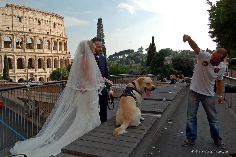 Just Married Dog