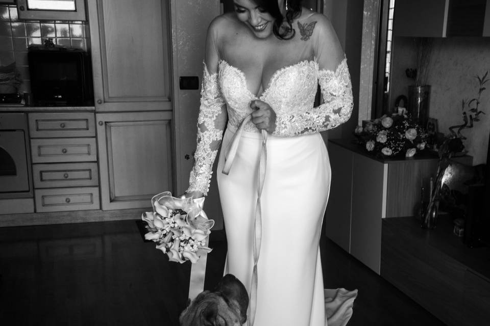 Just Married Wedding Dog