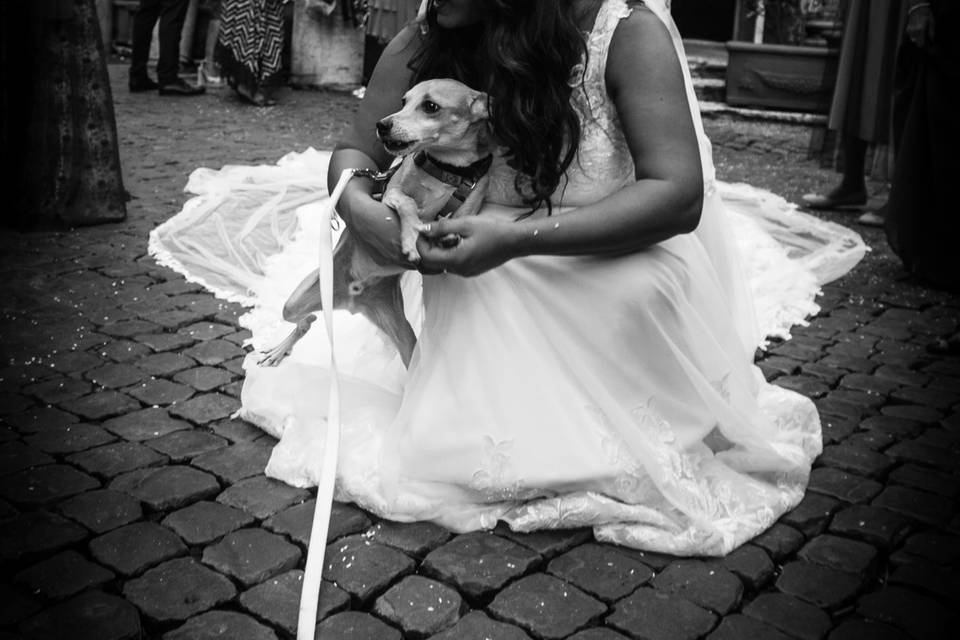 Just Married Wedding Dog