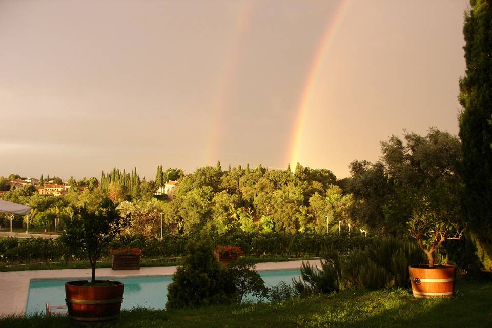 Le Vigne di San Pietro