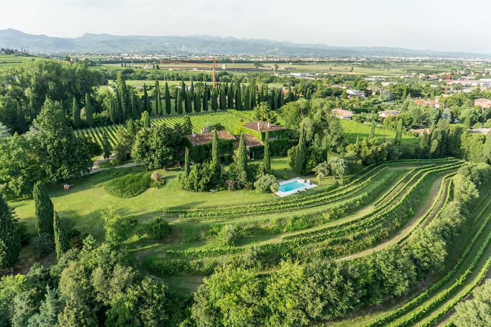 Le Vigne di San Pietro