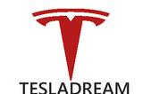 Logo TeslaDream