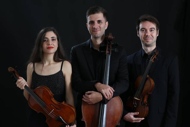 StringArc Ensemble