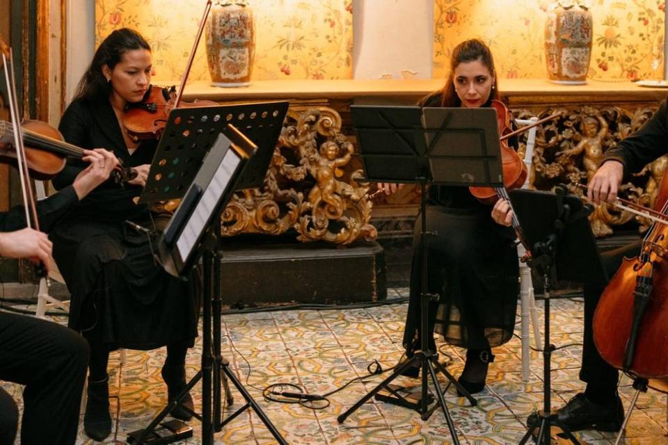 Quartetto deluxe