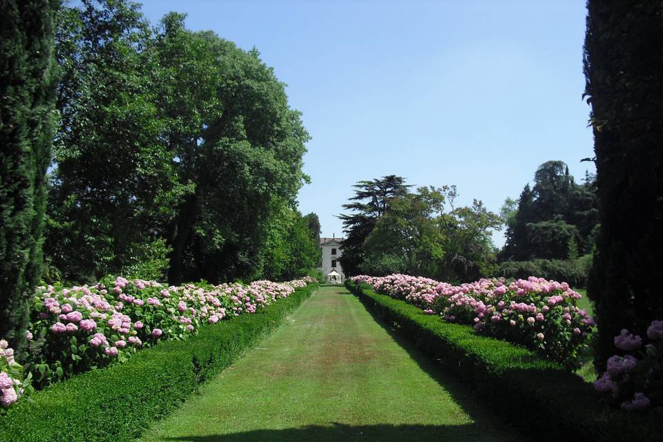 Wedding day - Parco Corte Pigno