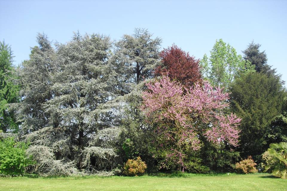 Wedding day - Parco Corte Pigno