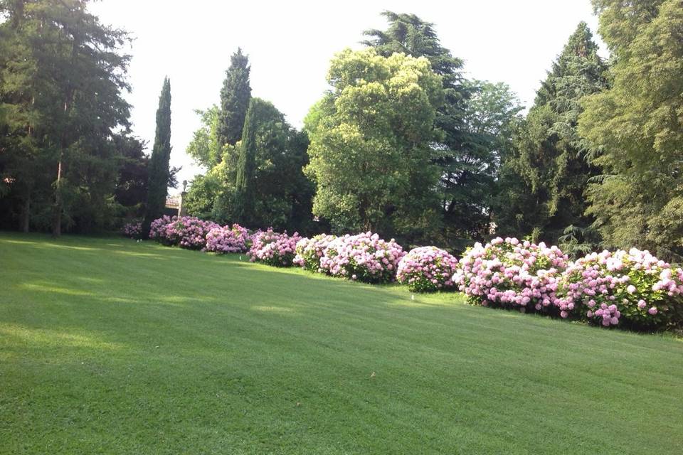 Wedding day - Parco Corte Pigno