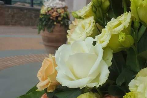 EcoWedding