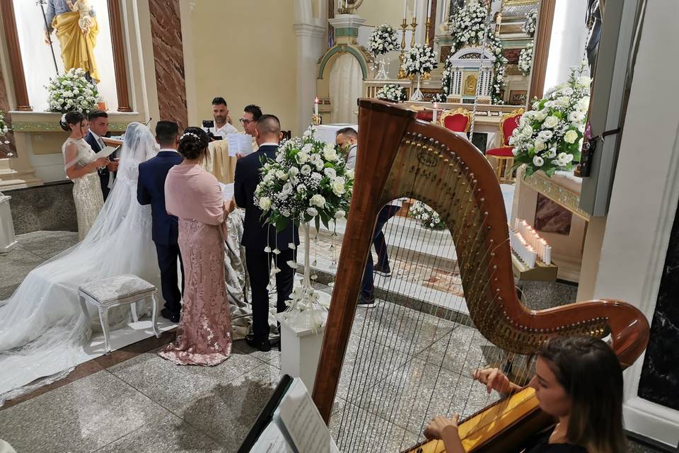 Arpa violino e voce