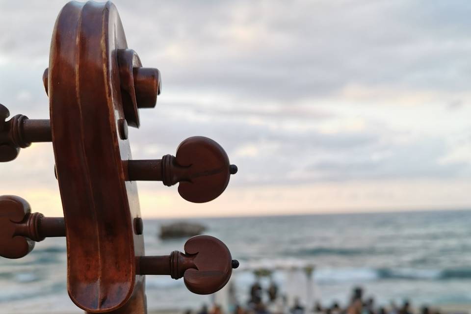 Francesca Furfaro Violinista