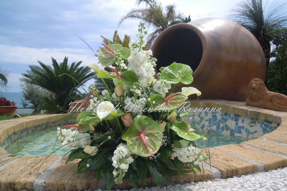 Composizione anthurium