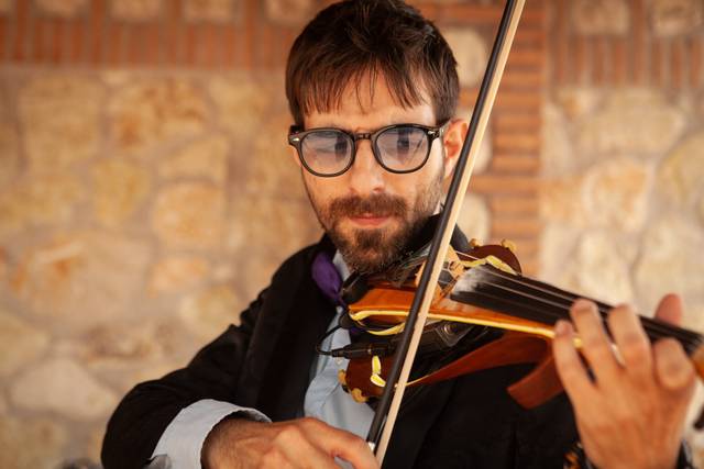 Violino live