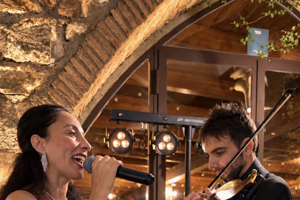Voce violino