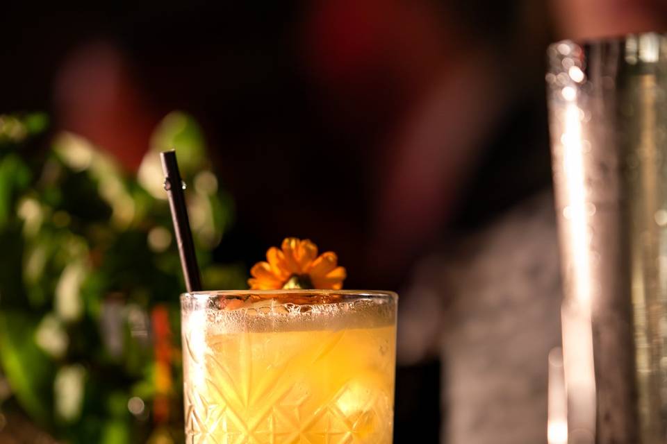 Open Bar - Matrimonio